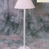 Outdoor Lamp company Traditional Shade Lamp - Bronze