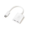 Targus ACA974CAI ISTORE USBC TO DUAL USBC ADAPTER WHITE