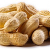 Natures Select Ingredients 50 lbs Peanuts Raw in Shell for Wild Bird Feed