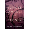 Baker Publishing Group Echoes Among the Stones - Dec