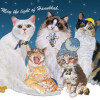Pipsqueak Productions Hanukkah Cats Hanukkah Boxed Cards - Pack of 10