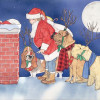 Pipsqueak Productions Mix Dog Holiday Boxed Cards