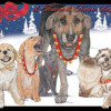 Pipsqueak Productions Mix Dog With Cat Holiday Boxed Cards