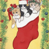 Pipsqueak Productions Stocking Stuffers Cat Christmas Boxed Cards - Pack of 10