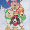 Pipsqueak Productions Mix Dog Holiday Boxed Cards