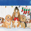 Pipsqueak Productions Mix Dog Holiday Boxed Cards