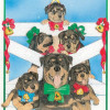 Pipsqueak Productions Rottweiler Holiday Boxed Cards