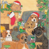 Pipsqueak Productions Mix Dog Holiday Boxed Cards