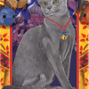 Pipsqueak Productions Russian Blue Cat Christmas Boxed Cards - Pack of 10
