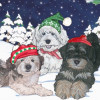 Pipsqueak Productions Holiday Boxed Cards- Havanese