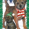 Pipsqueak Productions Holiday Boxed Cards- Border Terrier