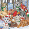 Pipsqueak Productions Mix Dog Holiday Boxed Cards