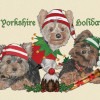 Pipsqueak Productions Holiday Boxed Cards- Yorkshire Terriers