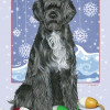 Pipsqueak Productions Portuguese Water Dog Christmas Boxed Cards - Pack of 10