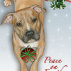 Pipsqueak Productions Pit Bull Mistletoe Christmas Boxed Cards - Pack of 10