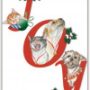 Pipsqueak Productions Joy Mix Dog with Cat Christmas Boxed Cards - Pack of 10