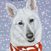 Pipsqueak Productions White Shepherd Christmas Boxed Cards - Pack of 10