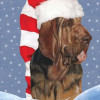 Pipsqueak Productions Bloodhound Christmas Boxed Cards - Pack of 10