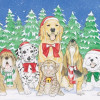 Pipsqueak Productions Mix Dog With Cat Holiday Boxed Cards