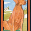 Pipsqueak Productions Holiday Boxed Cards- Vizsla