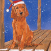 Pipsqueak Productions Holiday Boxed Cards- Irish Setter