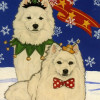 Pipsqueak Productions Holiday Boxed Cards- American Eskimo