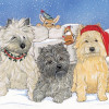 Pipsqueak Productions Holiday Boxed Cards- Cairn Terrier