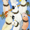 Pipsqueak Productions Cockatoo Holiday Bird Christmas Boxed Cards - Pack of 10