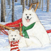 Pipsqueak Productions Holiday Boxed Cards- Samoyed