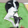 Pipsqueak Productions Greyhound Holiday Boxed Cards