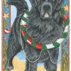 Pipsqueak Productions Holiday Boxed Cards- Newfoundland
