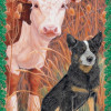 Pipsqueak Productions Holiday Boxed Cards- Australian Cattle Dog