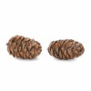 Pine Cone Decor (Set of 12)