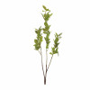 Leaf Foliage Branch (Set of 6)