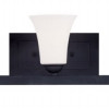 Livex 5 Light Bath Light in Black