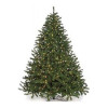Autograph Foliages 6 ft. Virginia Pine Tree with Clear Light Green