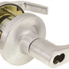 Falcon Dane T- Style Entry Leverset for Door