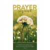 B & H Publishing Guest Card Safety Prayer Request - Pack of 50