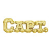 Simba 1 in. Chenille Captain Lapel Pin Bright Gold