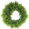 Admired by Nature 21 in. Eucalyptus Wreath Spring Wall Door Decoration Green