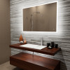 Paris Mirror 48 x 32 in. Reflection LED Mirror