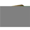 123 Creations Olive Dragonfly Upholstered Bench Black