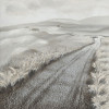 Northwood Collection 48 x 48 in. Winding Road Wall Decor