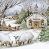 Perfect Timing Grazing Morning Boxed Card - Box of 12