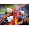 Open Flame Roasting Extendable Marshmallow Fork, Plastic & Stainless Steel, 3 Per Pack - Case of 24