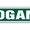 6 x 24 in. Logan Street Sign