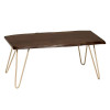 Carolina Seti Live Edge Coffee Table-Bench, Elm & Gold