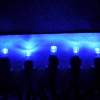 Kellogg Plastics 0.25 in. Holiday Christmas Indoor Outdoor LED- Blue