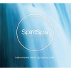 New Wine International Audio CD - Spirit Spa
