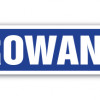 4 x 18 in. Arowana Street Sign - Freshwater Fishing Fisherman Fish Silver